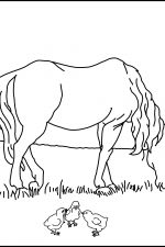 Coloring Pages For Farm Animals 10 Horse Eating Grass