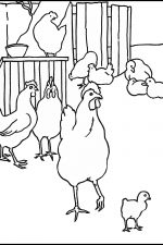 Coloring Pages For Farm Animals 3 In The Hen House