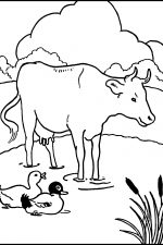 Coloring Pages For Farm Animals 6 Cow And Ducks