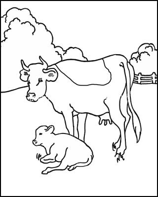 Coloring Pages For Farm Animals 5 Cow with a Little Calf