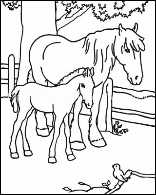 Coloring Pages For Farm Animals 7 Mare and Foal with Bird
