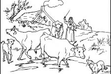 Coloring Pages Of Animals 2 Cows And Dog