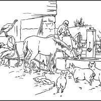 Coloring Pages of Animals