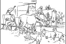 Coloring Pages Of Animals 3 Horses And Pigs