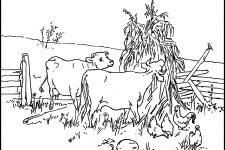 Coloring Pages Of Animals 4 Cows And Chickens