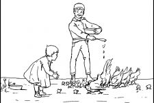 Coloring Pages Of Animals 8 Feeding Chickens