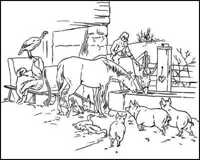 Coloring Pages Of Animals 3 Horses And Pigs
