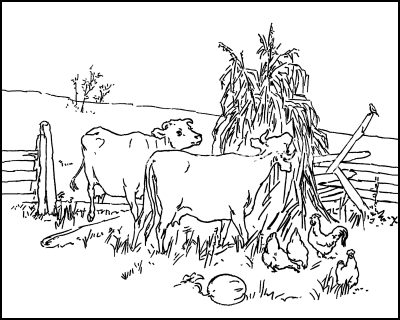 Coloring Pages Of Animals 4 Cows And Chickens