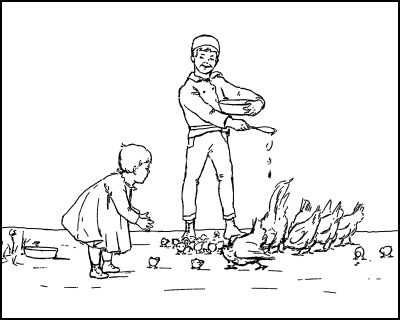 Coloring Pages Of Animals 8 Feeding Chickens