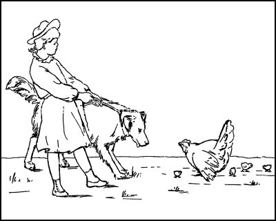 Coloring Pages Of Animals 9 Dog And Chickens