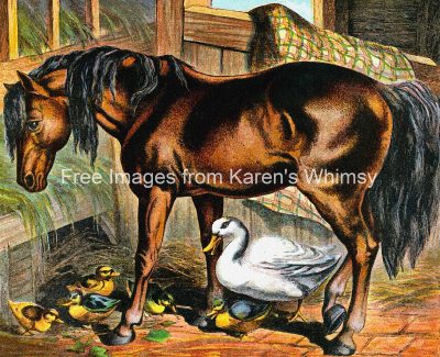 Drawings Of Farm Animals 2 Horse With Ducks