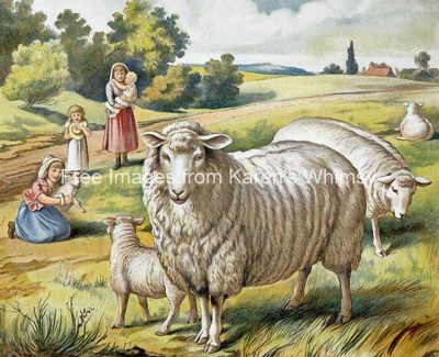 Drawings Of Farm Animals 7 Sheep In A Meadow