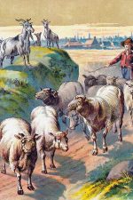 Clipart Farm Animals 10 Herding The Sheep