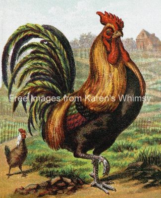 Clipart Farm Animals 4 Big Rooster