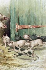 Clip Art Of Farm Animals 12 Scampering Piglets