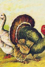 Clip Art Of Farm Animals 3 Goose And Turkey