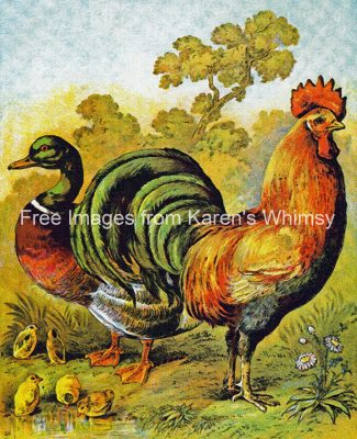 Clip Art Of Farm Animals 1 Duck And Rooster