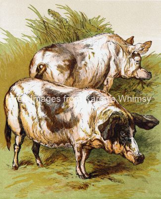 Clip Art Of Farm Animals 10 Two Spotted Pigs