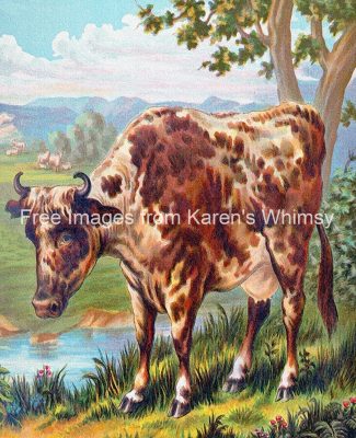 Farm Animals Pictures 12 Mottled Cow