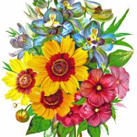 Drawings of Flower Bouquets
