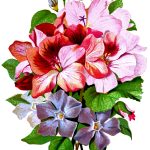 Drawings of Flower Bouquets 5