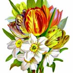 Drawings Of Flower Bouquets 7