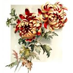 Bouquet Of Flowers Clip Art 11