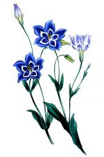 Clip Art Flower Images 9