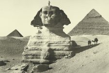 Sphinx In Egypt 10