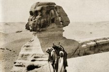 Sphinx In Egypt 4