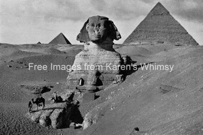 Sphinx In Egypt 8