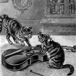 Funny Animal Pictures 3 - Two Cats Play Violin