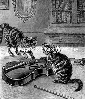 Funny Animal Pictures 3 - Two Cats Play Violin
