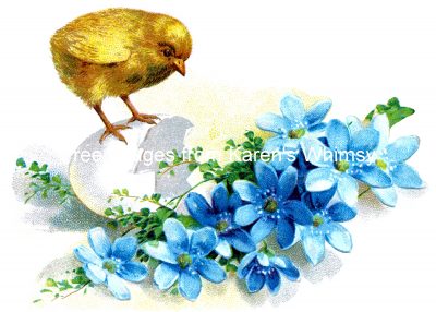 Baby Chicks 5 - Chick With Blue Flowers