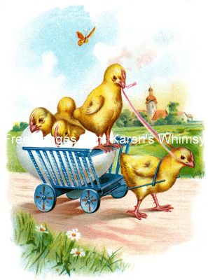 Baby Chicks 7 - Chicks In A Wagon
