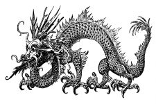 Chinese Dragons 8