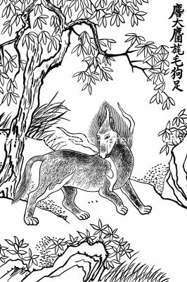 Chinese Mythical Creatures 4