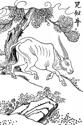 Chinese Mythical Creatures 5