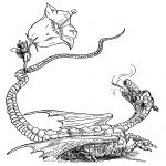 Sketches of a Dragon 8