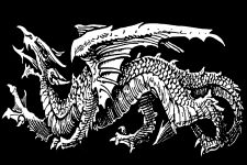 Dragon Drawings 12