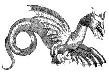 Dragon Drawings 13