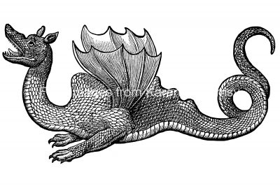 Dragon Drawings 2