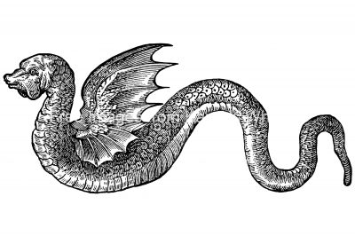 Dragon Drawings 6