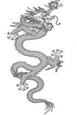 Chinese Dragon Art 8