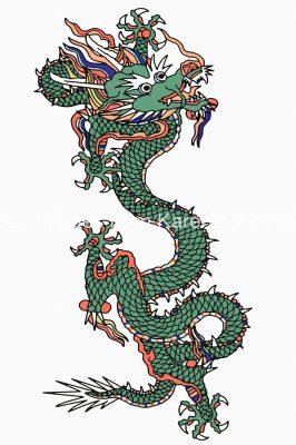 Chinese Dragon Art 1