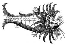 Sea Monsters 5