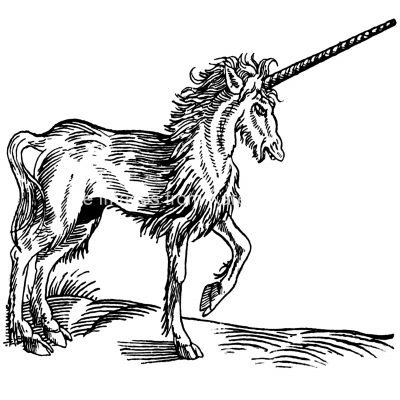 Drawing Of A Unicorn 1