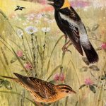 Bird Clipart 1 - Bobolinks in a Meadow