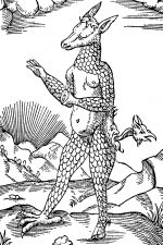 Mythological Creatures 12 - Papal Donkey