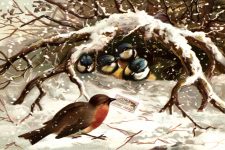Clipart Images of Christmas 7 - Birds in Snow